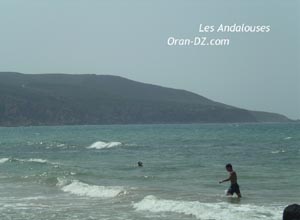 Envol retard� pour les agences de voyages en Alg�rie