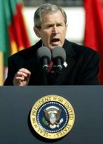 Bush