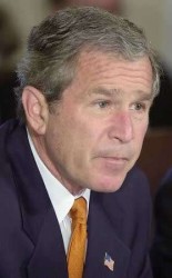 Bush
