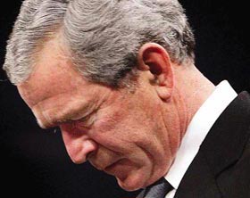 Bush
