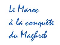 Medi1SAT