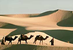 Sahara Alg&eacute;rie