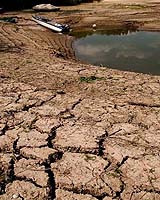 Journ�e mondiale de l'environnement
