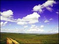 Climat