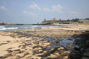 Mare noire au Liban