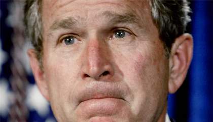 Bush