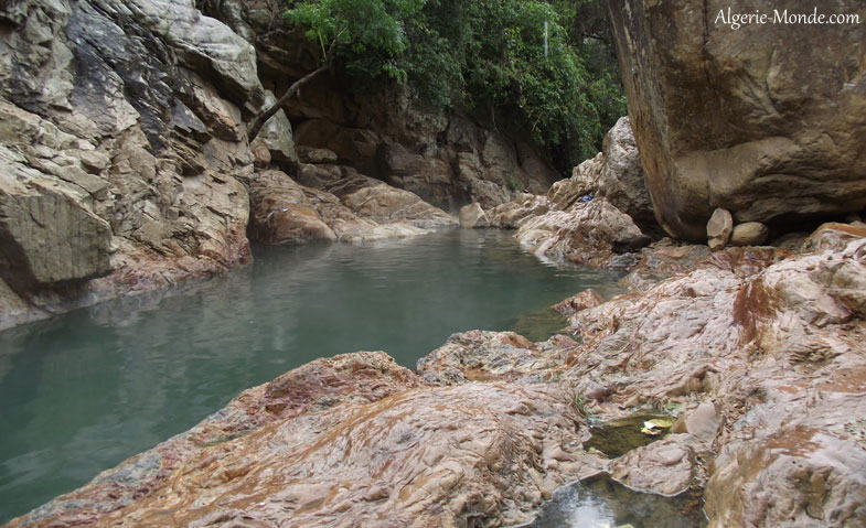 Source thermale naturelle Sidi Trad Parc National El Kala