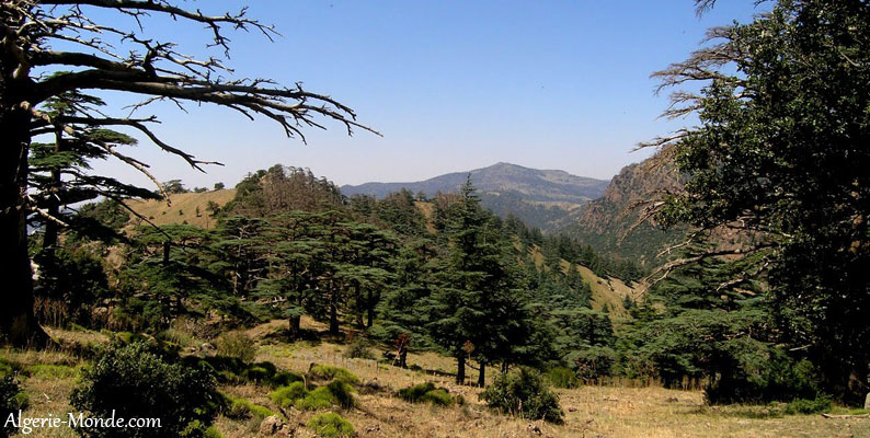 Parc National Belezma