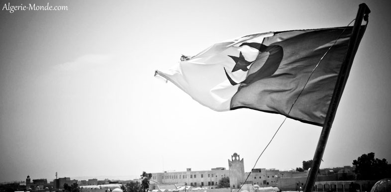 Drapeau algérien en noir et blanc