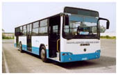 Bus Algrie