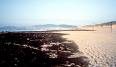 petrole a Skikda