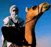 ghardaia : mozabites