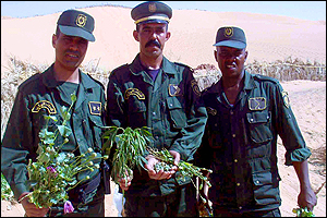 gendarmes algeriens