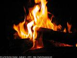 feu maitriser a arzew