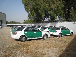 gendarmerie algerienne