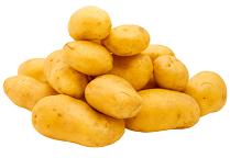 pomme de terre