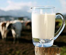 lait