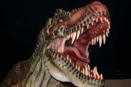 dinosaure