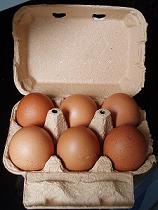 oeufs