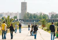 universites satures