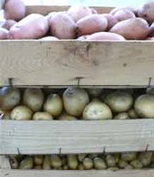 10 000 tonnes de pommes de terre