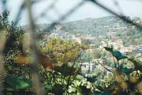 Kabylie