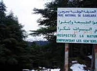 Parc du Djurdjura