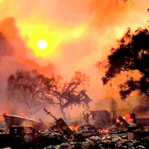 feu de forets