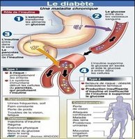medicament contre le diabete