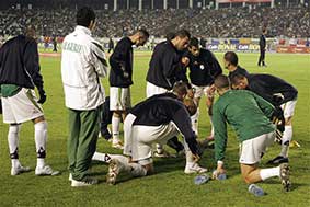 les verts