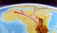 Homo Sapiens aurait traverse le Sahara