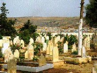 les ordures voisines avec les morts