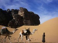 Wilaya de Tamanrasset