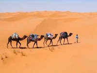 Viree dans le tourisme saharien