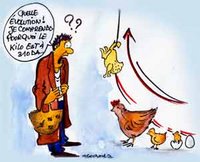 les intermediares et les geants des abattoirs mis en cause