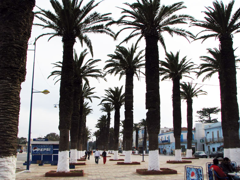Ville Arzew