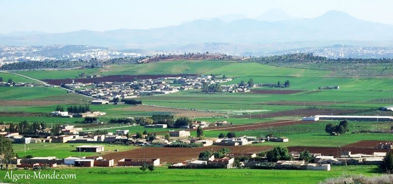 Vue au loin de la ville de Chlef
