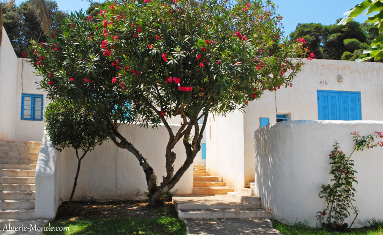 Complexe Touristique Corne d'Or Tipaza