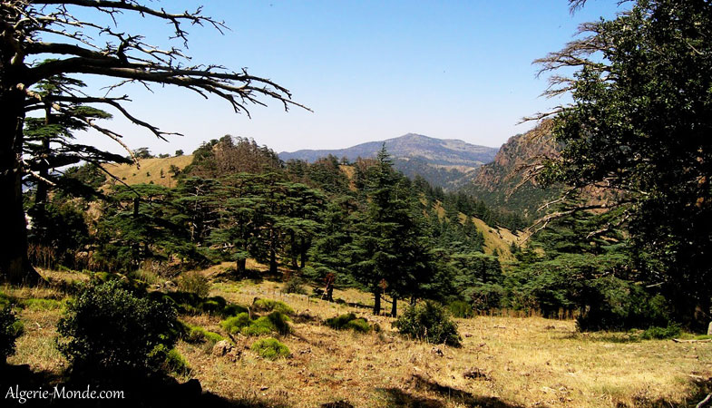 Parc National Belezma