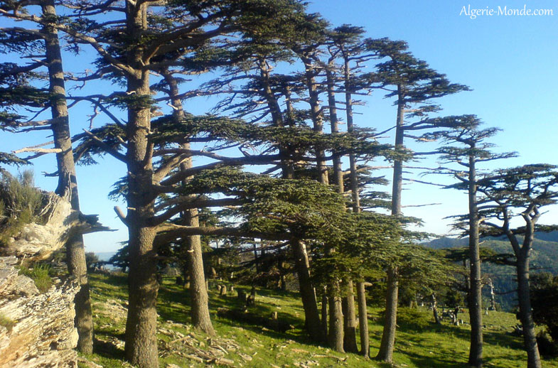 Parc National Belezma