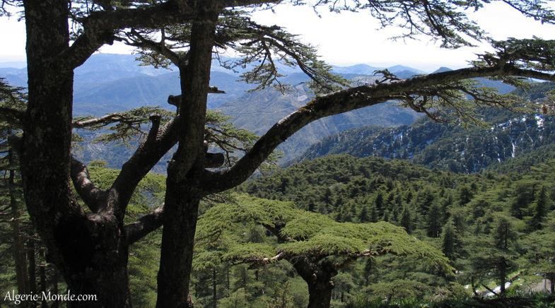 Parc National Chra