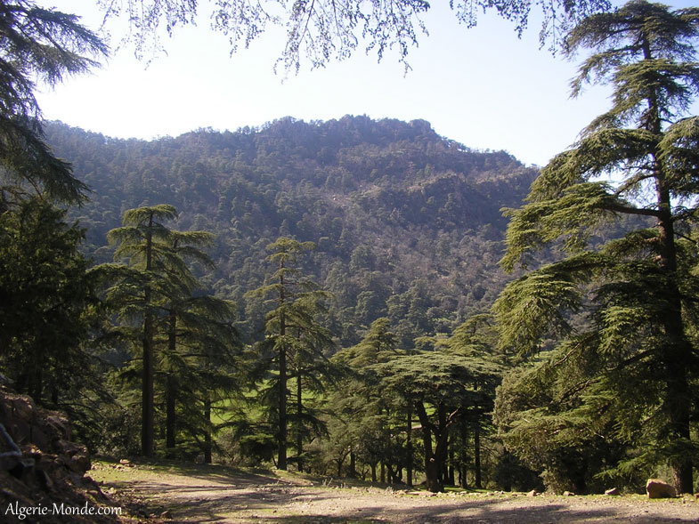 Parc National Thniet El Had