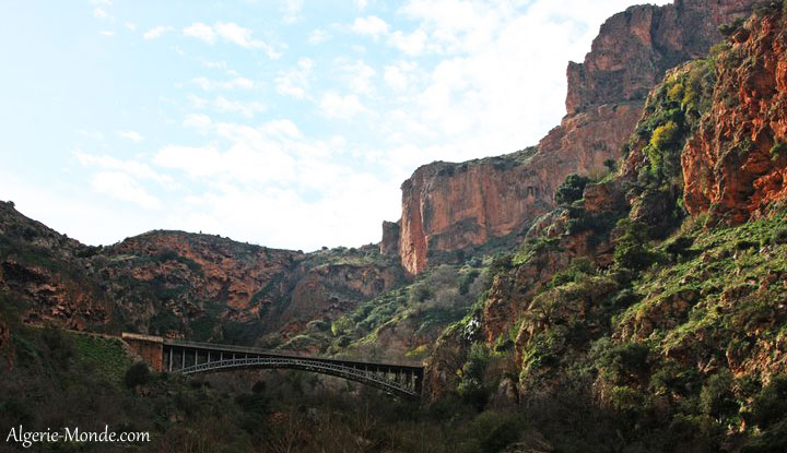Parc National de Tlemcen
