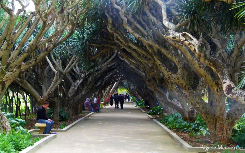 Le Jardin d'Essai Alger