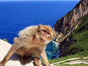 Photos Pic des Singes Bjaa
