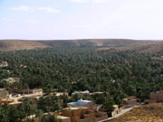 Photos de la Palmeraie  Ghardaa