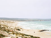 Photos de la plage Les Sablettes  Mostaganem