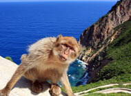 Photos Bjaa
