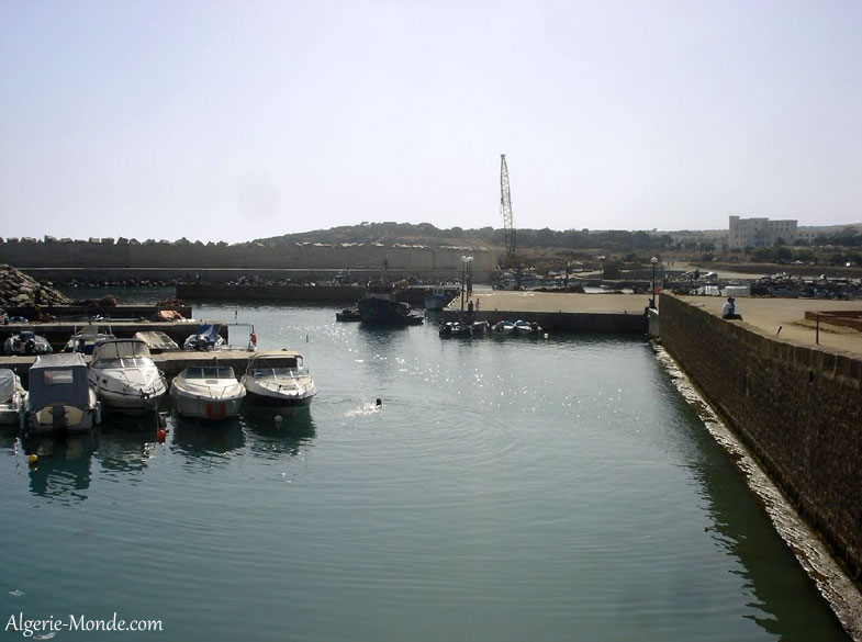 Port de pche Tipaza