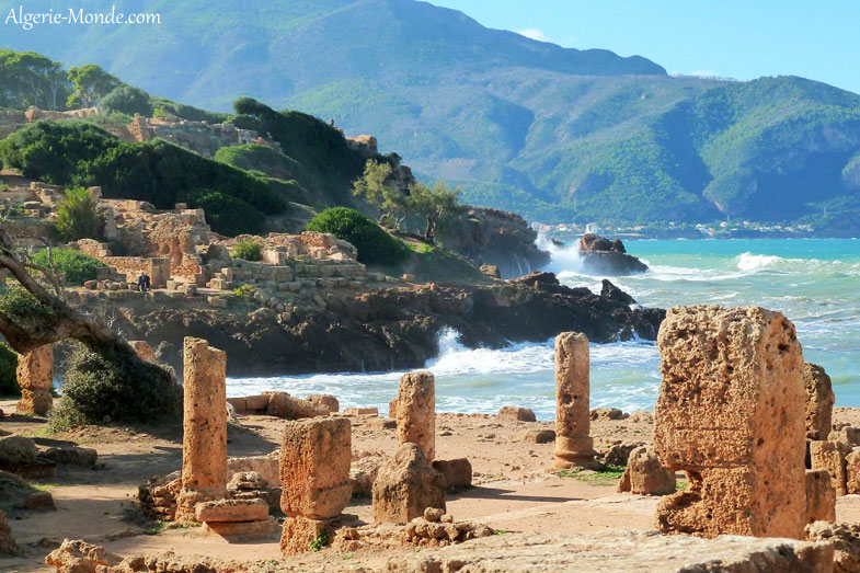 Les ruines de Tipaza